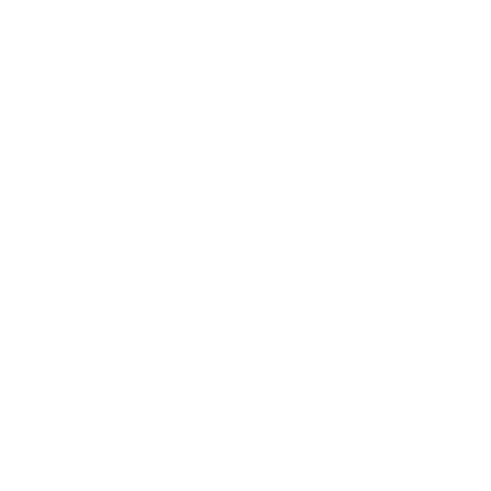 pro polish windows logo 2