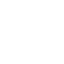 pro polish windows logo 2